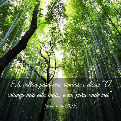 Picture 03 - Gênesis 37:30 BSL - Ele voltou para seus irmãos, e disse: “A - Bible Verse Picture