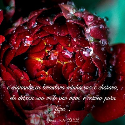 Picture 03 - Gênesis 39:18 BSL - e enquanto eu levantava minha voz e chorava, ele - Bible Verse Picture