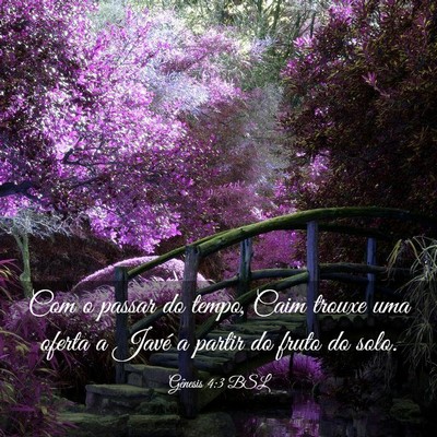 Picture 03 - Gênesis 4:3 BSL - Com o passar do tempo, Caim trouxe uma oferta a - Bible Verse Picture