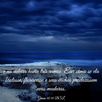 Picture 03 - Gênesis 40:10 BSL - e na videira havia três ramos. Era como se ela - Bible Verse Picture