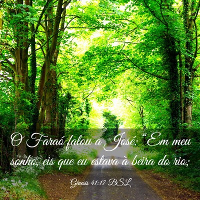Picture 03 - Gênesis 41:17 BSL - O Faraó falou a José: “Em meu sonho, eis que - Bible Verse Picture
