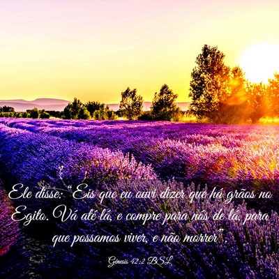 Picture 03 - Gênesis 42:2 BSL - Ele disse: “Eis que eu ouvi dizer que há - Bible Verse Picture