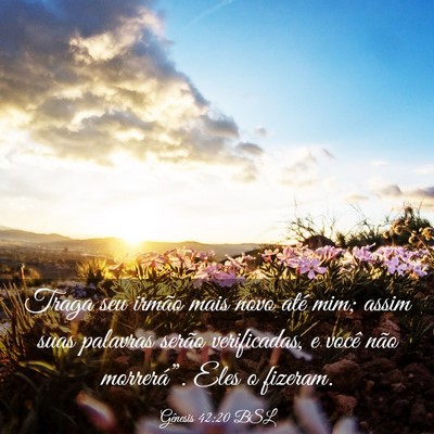 Picture 03 - Gênesis 42:20 BSL - Traga seu irmão mais novo até mim; assim suas - Bible Verse Picture