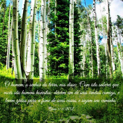 Picture 03 - Gênesis 42:33 BSL - O homem, o senhor da terra, nos disse: 'Com isto - Bible Verse Picture