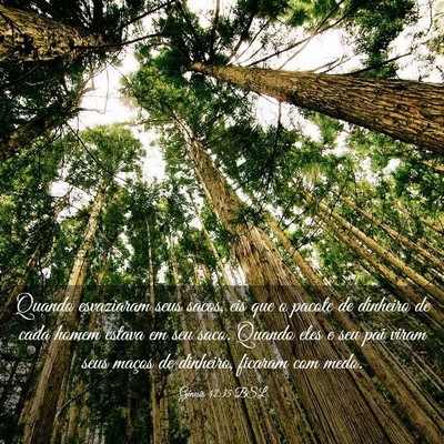 Picture 03 - Gênesis 42:35 BSL - Quando esvaziaram seus sacos, eis que o pacote de - Bible Verse Picture