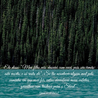 Picture 03 - Gênesis 42:38 BSL - Ele disse: “Meu filho não descerá com você, - Bible Verse Picture
