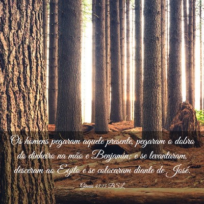 Picture 03 - Gênesis 43:15 BSL - Os homens pegaram aquele presente, pegaram o - Bible Verse Picture