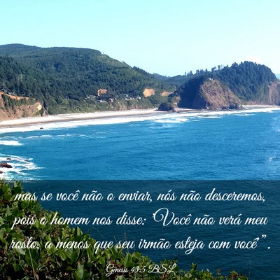 Picture 03 - Gênesis 43:5 BSL - mas se você não o enviar, nós não desceremos, - Bible Verse Picture