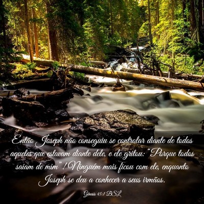 Picture 03 - Gênesis 45:1 BSL - Então Joseph não conseguiu se controlar diante - Bible Verse Picture