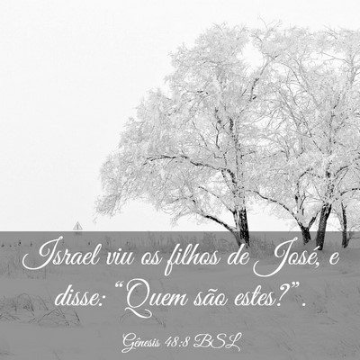 Picture 03 - Gênesis 48:8 BSL - Israel viu os filhos de José, e disse: “Quem - Bible Verse Picture