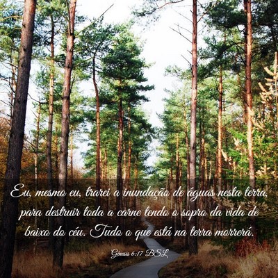 Picture 03 - Gênesis 6:17 BSL - Eu, mesmo eu, trarei a inundação de águas - Bible Verse Picture
