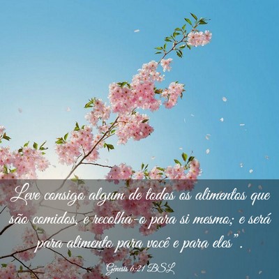 Picture 03 - Gênesis 6:21 BSL - Leve consigo algum de todos os alimentos que são - Bible Verse Picture