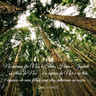 Picture 03 - Gênesis 7:13 BSL - No mesmo dia Noé, e Shem, Ham e Japheth - os - Bible Verse Picture
