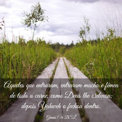 Picture 03 - Gênesis 7:16 BSL - Aqueles que entraram, entraram macho e fêmea de - Bible Verse Picture