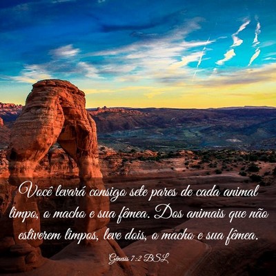 Picture 03 - Gênesis 7:2 BSL - Você levará consigo sete pares de cada animal - Bible Verse Picture