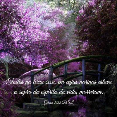 Picture 03 - Gênesis 7:22 BSL - Todos na terra seca, em cujas narinas estava o - Bible Verse Picture