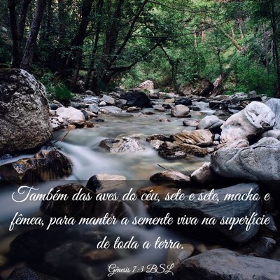Picture 03 - Gênesis 7:3 BSL - Também das aves do céu, sete e sete, macho e - Bible Verse Picture