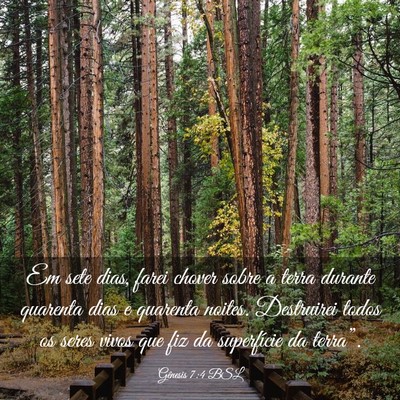 Picture 03 - Gênesis 7:4 BSL - Em sete dias, farei chover sobre a terra durante - Bible Verse Picture