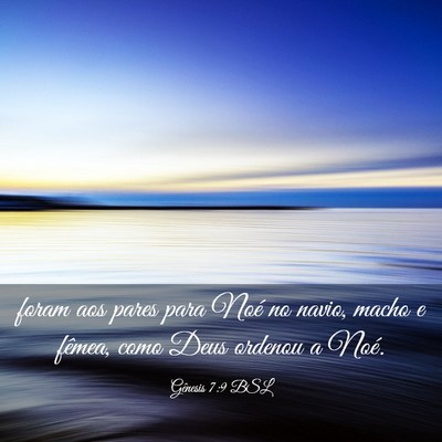 Picture 03 - Gênesis 7:9 BSL - foram aos pares para Noé no navio, macho e - Bible Verse Picture