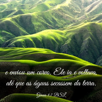 Picture 03 - Gênesis 8:7 BSL - e enviou um corvo. Ele ia e voltava, até que as - Bible Verse Picture