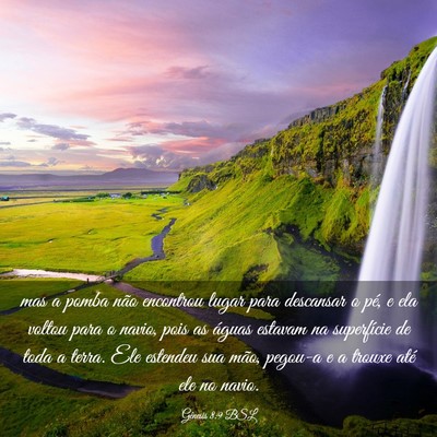 Picture 03 - Gênesis 8:9 BSL - mas a pomba não encontrou lugar para descansar o - Bible Verse Picture