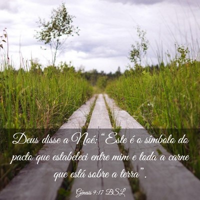 Picture 03 - Gênesis 9:17 BSL - Deus disse a Noé: “Este é o símbolo do pacto - Bible Verse Picture