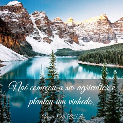 Picture 03 - Gênesis 9:20 BSL - Noé começou a ser agricultor e plantou um - Bible Verse Picture
