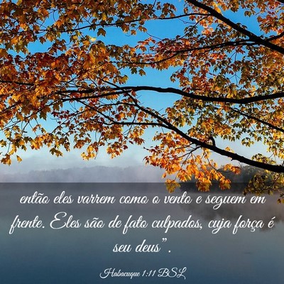 Picture 03 - Habacuque 1:11 BSL - então eles varrem como o vento e seguem em - Bible Verse Picture