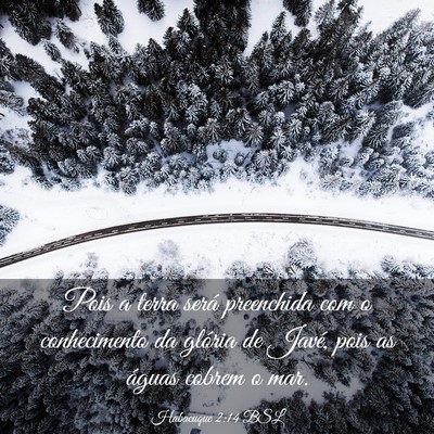Picture 03 - Habacuque 2:14 BSL - Pois a terra será preenchida com o conhecimento - Bible Verse Picture