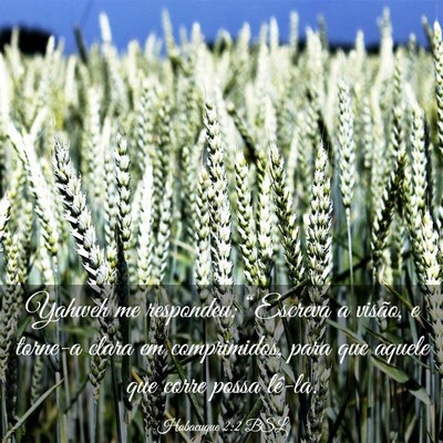 Picture 03 - Habacuque 2:2 BSL - Yahweh me respondeu: “Escreva a visão, e - Bible Verse Picture
