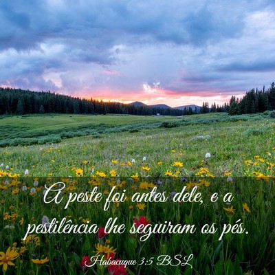 Picture 03 - Habacuque 3:5 BSL - A peste foi antes dele, e a pestilência lhe - Bible Verse Picture