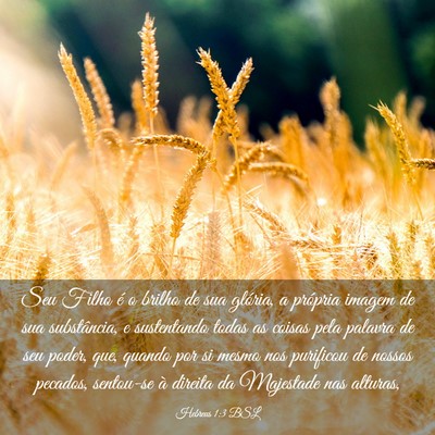 Picture 03 - Hebreus 1:3 BSL - Seu Filho é o brilho de sua glória, a própria - Bible Verse Picture