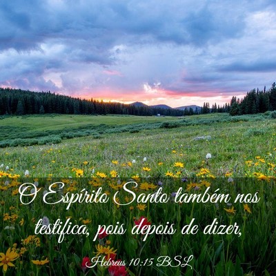 Picture 03 - Hebreus 10:15 BSL - O Espírito Santo também nos testifica, pois - Bible Verse Picture
