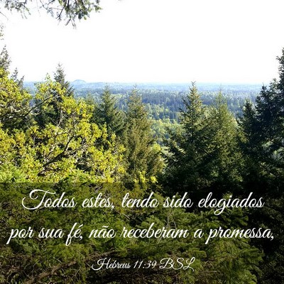 Picture 03 - Hebreus 11:39 BSL - Todos estes, tendo sido elogiados por sua fé, - Bible Verse Picture