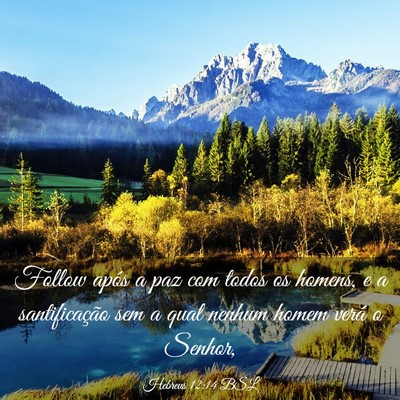 Picture 03 - Hebreus 12:14 BSL - Follow após a paz com todos os homens, e a - Bible Verse Picture