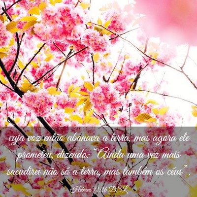 Picture 03 - Hebreus 12:26 BSL - cuja voz então abanava a terra, mas agora ele - Bible Verse Picture