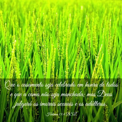Picture 03 - Hebreus 13:4 BSL - Que o casamento seja celebrado em honra de todos - Bible Verse Picture