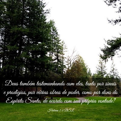 Picture 03 - Hebreus 2:4 BSL - Deus também testemunhando com eles, tanto por - Bible Verse Picture