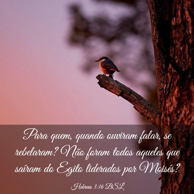 Picture 03 - Hebreus 3:16 BSL - Para quem, quando ouviram falar, se rebelaram? - Bible Verse Picture