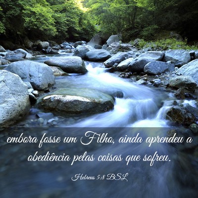 Picture 03 - Hebreus 5:8 BSL - embora fosse um Filho, ainda aprendeu a - Bible Verse Picture