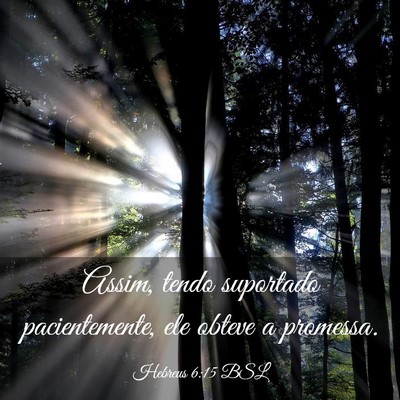 Picture 03 - Hebreus 6:15 BSL - Assim, tendo suportado pacientemente, ele obteve - Bible Verse Picture