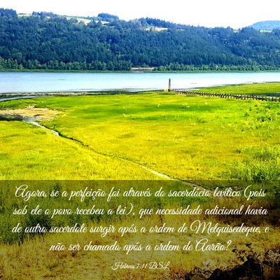 Picture 03 - Hebreus 7:11 BSL - Agora, se a perfeição foi através do - Bible Verse Picture