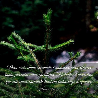 Picture 03 - Hebreus 8:3 BSL - Para cada sumo sacerdote é nomeado para oferecer - Bible Verse Picture