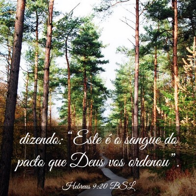 Picture 03 - Hebreus 9:20 BSL - dizendo: “Este é o sangue do pacto que Deus - Bible Verse Picture