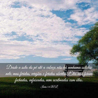 Picture 03 - Isaías 1:6 BSL - Desde a sola do pé até a cabeça não há - Bible Verse Picture