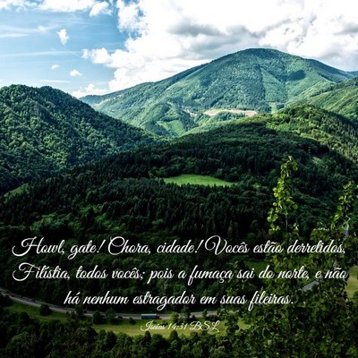 Picture 03 - Isaías 14:31 BSL - Howl, gate! Chora, cidade! Vocês estão - Bible Verse Picture