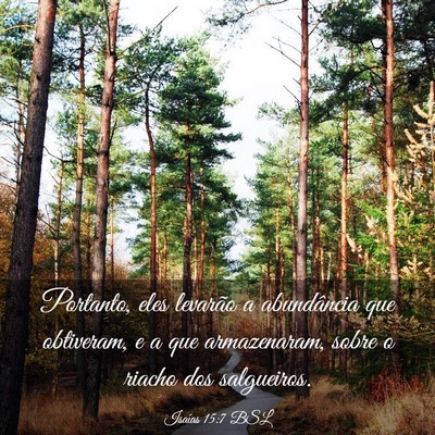 Picture 03 - Isaías 15:7 BSL - Portanto, eles levarão a abundância que - Bible Verse Picture