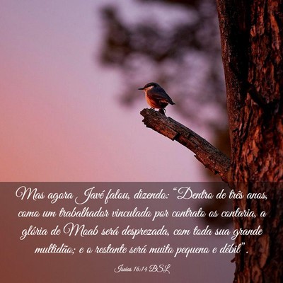 Picture 03 - Isaías 16:14 BSL - Mas agora Javé falou, dizendo: “Dentro de - Bible Verse Picture