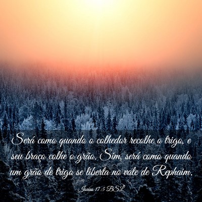 Picture 03 - Isaías 17:5 BSL - Será como quando o colhedor recolhe o trigo, e - Bible Verse Picture