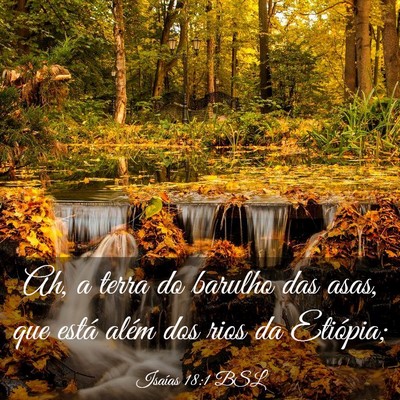 Picture 03 - Isaías 18:1 BSL - Ah, a terra do barulho das asas, que está além - Bible Verse Picture